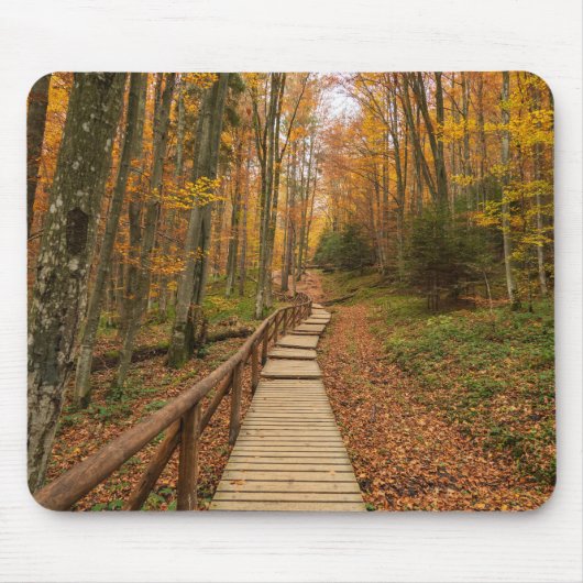 Weg durch den Herbstwald. Mousepad (Vorne)