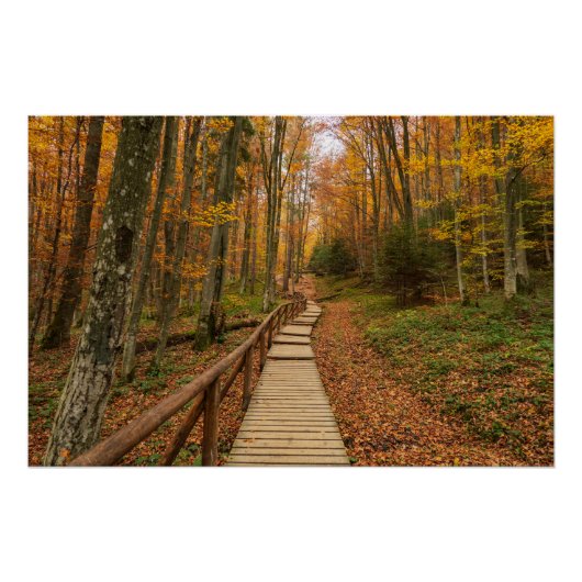 Weg durch den Herbstwald. Poster (Vorderseite)