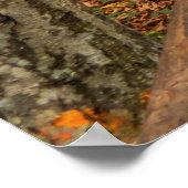 Weg durch den Herbstwald. Poster (Ecke)