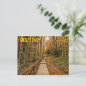 Weg durch den Herbstwald. Postkarte (Stehend Vorderseite)