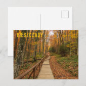 Weg durch den Herbstwald. Postkarte (Vorne/Hinten)