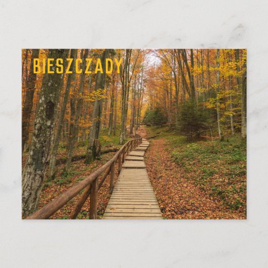 Weg durch den Herbstwald. Postkarte (Vorderseite)