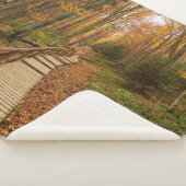 Weg durch den Herbstwald. Sherpadecke (3/4)