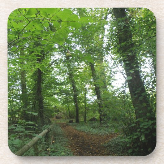 Weg durch den Untersetzer des Grünwaldkorks (Vorderseite)