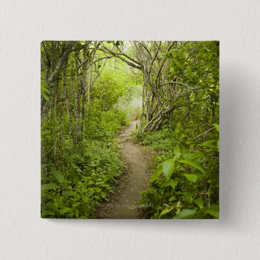 Weg durch den Wald Button (Vorderseite)