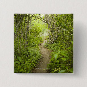 Weg durch den Wald Button