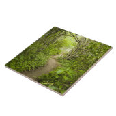 Weg durch den Wald Fliese (Seite)