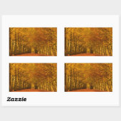 Weg durch den Wald im Fall rechteckigen Steig Rechteckiger Aufkleber (Blatt)