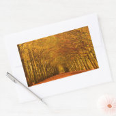 Weg durch den Wald im Fall rechteckigen Steig Rechteckiger Aufkleber (Umschlag)