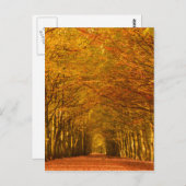 Weg durch den Wald im Fall senkrechte Postkarte (Vorne/Hinten)