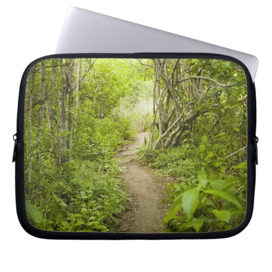 Weg durch den Wald Laptopschutzhülle (Vorderseite)