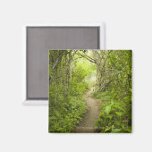 Weg durch den Wald Magnet (Vorderseite/Rückseite)