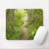 Weg durch den Wald Mousepad (Mit Mouse)