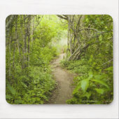 Weg durch den Wald Mousepad (Vorne)