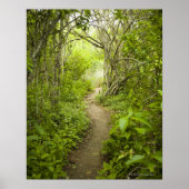 Weg durch den Wald Poster (Vorne)