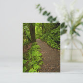 Weg durch den Wald Postkarte (Stehend Vorderseite)