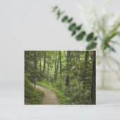 Weg durch den Wald Postkarte (Stehend Vorderseite)