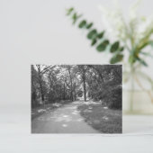 Weg durch den Wald Postkarte (Stehend Vorderseite)