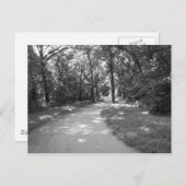 Weg durch den Wald Postkarte (Vorne/Hinten)