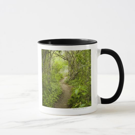 Weg durch den Wald Tasse (Rechts)