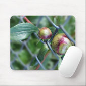 Weg durch den Zaun Mousepad (Mit Mouse)
