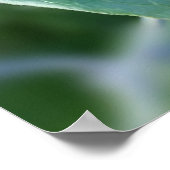 Weg durch den Zaun Poster (Ecke)