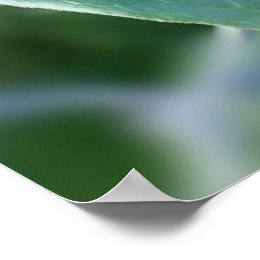 Weg durch den Zaun Poster (Ecke)