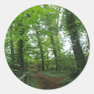 Weg durch die Aufkleber für den grünen Wald
