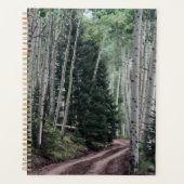 Weg durch die Birke Planer (Vorderseite)