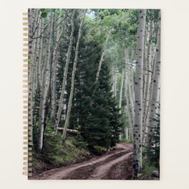 Weg durch die Birke Planer