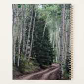 Weg durch die Birke Planer (Rückseite)