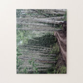 Weg durch die Birke Puzzle (Vertikal)