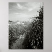 Weg durch die Dünen Poster (Vorne)