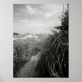 Weg durch die Dünen Poster