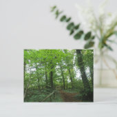 Weg durch die Grünwald-Postkarte Postkarte (Stehend Vorderseite)