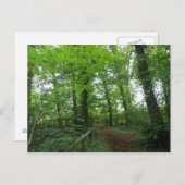 Weg durch die Grünwald-Postkarte Postkarte (Vorne/Hinten)