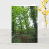 Weg durch die Grünwaldgrün-Grußkarte Karte (Gelbe Blume)