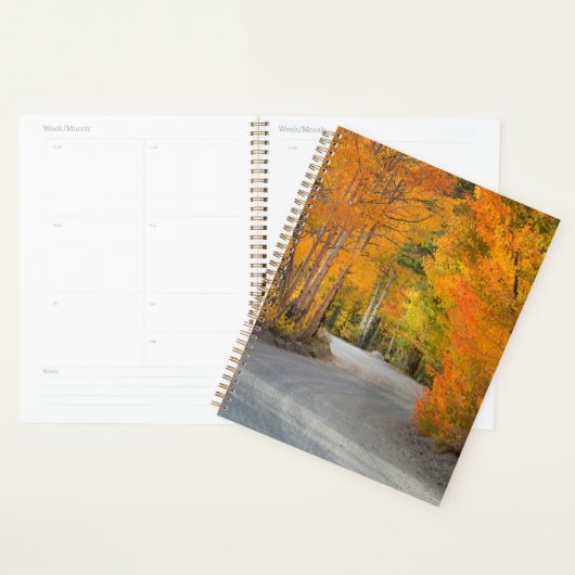 Weg durch die Herbstaspekte Planer (Anzeige)