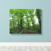 Weg durch die Leinwand des grünen Waldes (Insitu (Holzboden))
