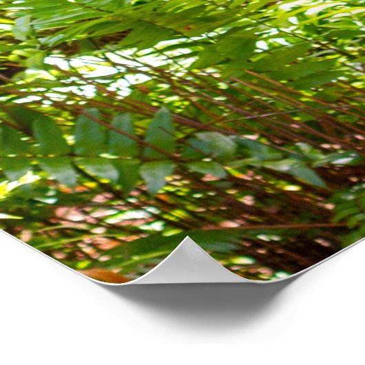 Weg durch die Palmen Poster (Ecke)