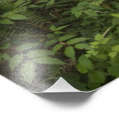 Weg durch die riesigen, geruschten Rotholzbäume Fotodruck (Ecke)