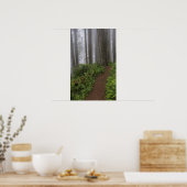 Weg durch die riesigen, geruschten Rotholzbäume Poster (Küche)