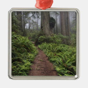 Weg durch die riesigen Redwood-Bäume gehüllt 2 Silbernes Ornament