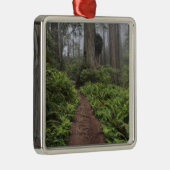 Weg durch die riesigen Rotholzbäume 2 Silbernes Ornament (Rechts)