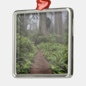 Weg durch die riesigen Rotholzbäume 2 Silbernes Ornament (Links)