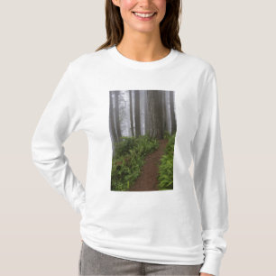 Weg durch die riesigen Rotholzbäume T-Shirt