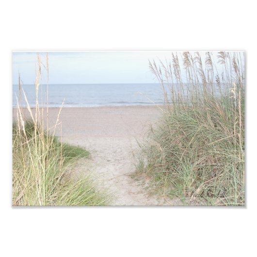 Weg durch Sanddünen Fotodruck (Vorne)