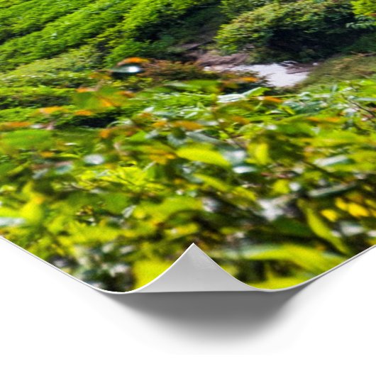 Weg durch Teeplantagen Poster (Ecke)
