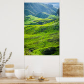 Weg durch Teeplantagen Poster (Küche)