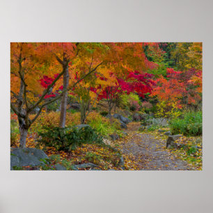 Weg führt zur Parkbank Poster